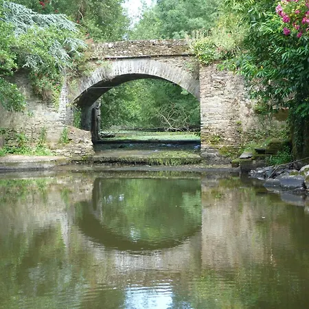 L'erdre Au Moulin * Joue-sur-Erdre